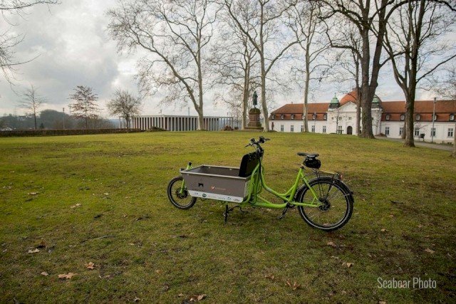Family cargo bike from Radkutsche on a grass field with three and buildings in the back