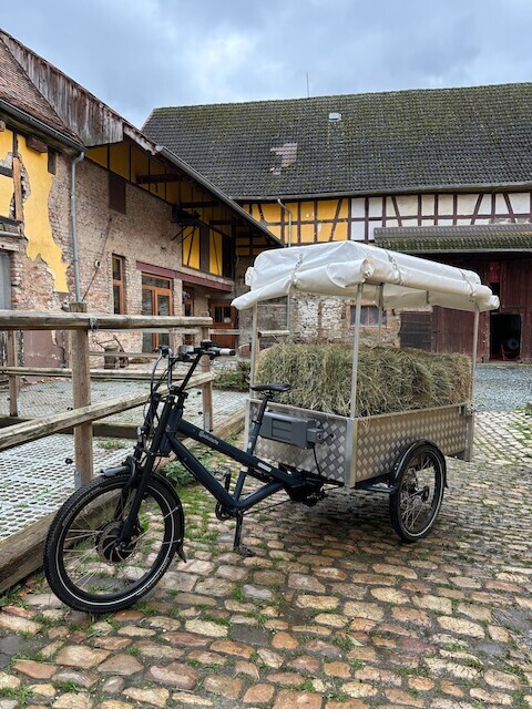 radkutsche_musketier_transport_alu_pritsche_1.jpg